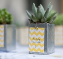 Seating plan and favour-in-one | Pot plant table numbers