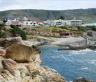 Garden Route