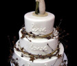 ike-wedding-cakes-8
