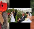 Blaauwpoort Wedding Venue & Lodge