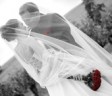 deirdre-hewitson-photography-large9