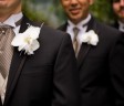 direct-suits-3 direct-suits-3