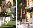 eco-chic-10 eco-chic-10