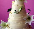 Florentine Cakes Cape Town Wedding Cakes