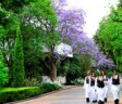 Gallagher Convention Centre Johannesburg Wedding Venue