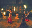 Belly dance party