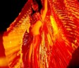 Belly dance party