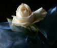 J Squared wedding videography services