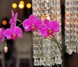 meletlo-celebrations-1 Meletlo Celebrations Gauteng Wedding Planners