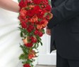 nardie-moller-2 Nardie Moller Johannesburg Marriage Officer and Counsellor