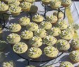 wedding cakes