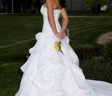 the-wedding-weasel-large3 the-wedding-weasel-large3