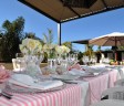 white-orchid-events-1