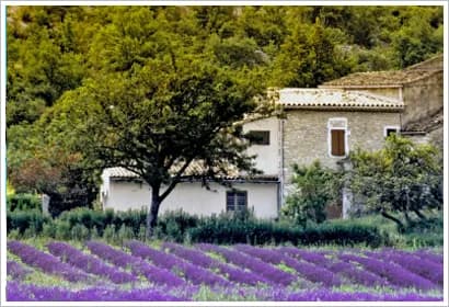 France, the most romantic honeymoon destination in the world