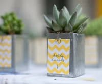 Seating plan and favour-in-one | Pot plant table numbers