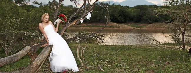 Arno Alberts Photography | Professional wedding photography