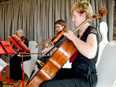 Promenade Ensemble | Classical Musicians